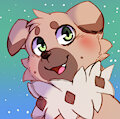 Cute Ruff