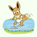 Stepping stones.