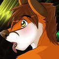 WereFox Icon