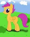 Scootaloo Standing by navqshy