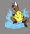 Puddle Splashing