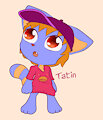 Tatin