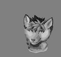 2021.8.20 by shadowXfox
