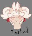Test