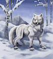 She wolf render and sketches