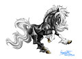 Kim the mare (and process)