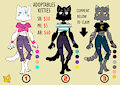 ADOPTABLE KITTIES by CGR