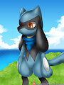Riolu