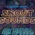 SNOUT SOUNDS