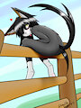 Hang in there~ by dualitydot