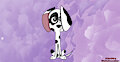 Disky