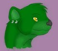 Ander Otter (BF) headshot