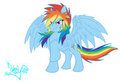 Dashie!!!