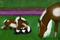 Babies in the Meadow