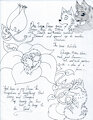 The Black Wolf Chornicles pg 11-15