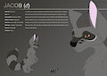 Commission - Jacob Character Sheet
