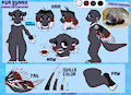 puanny reference sheet 0.2