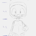 Duck Notes