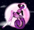 Doggie cat -GA-