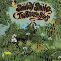 Smiley Smile Anniversary