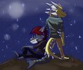 Under the Moonlight Stars by KorexNevara