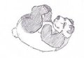 Panda Doodle by FST