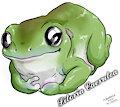 Cute green tree frog