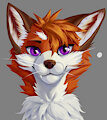 2021.9.23 by shadowXfox