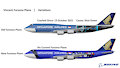 Vincent Fursona Plane History by WerewolfVincent