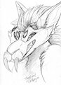 Voice Sketch by VoiceSpider