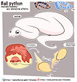 *Critter creation*_Ball python