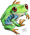 Red-eyed treefrog (Agalychnis callidryas)