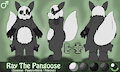 Refsheet - Ray the Pangoose