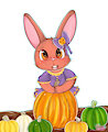Amy's Pumpkin Haul -By Nenetwinkletail-