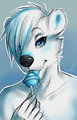 Lollipop by Tartii