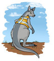 Safety Roo?