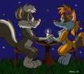Candlelight dinner