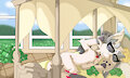 Inside the Dragon Mansion by ayocchi