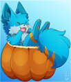 Sora Stuck in a Pumpkin