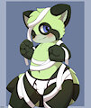 [C] Panda