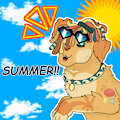 summer!!