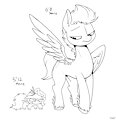 The six foot mare
