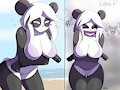 A bikini for the panda
