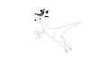 Curio the Kangaroo!