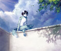 sunny day