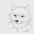Rocket Raccoon ink bust
