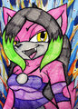 At: Kelly the wolf