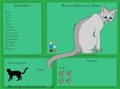 cat reff sheet by silvertailcat