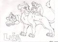 Luka Character Ref by HolidayPup