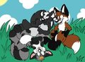 3 Fuzzy pals